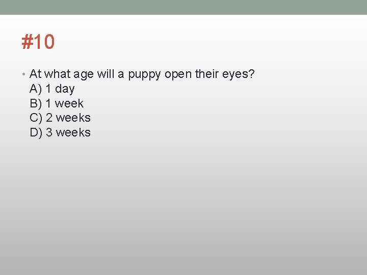 #10 • At what age will a puppy open their eyes? A) 1 day