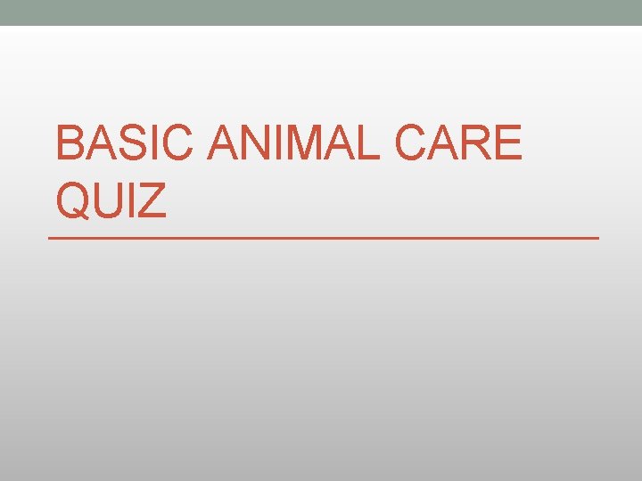 BASIC ANIMAL CARE QUIZ 
