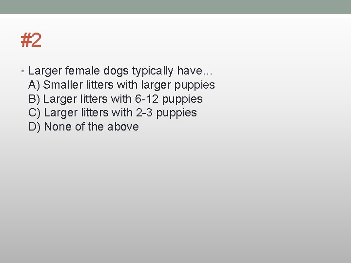 #2 • Larger female dogs typically have… A) Smaller litters with larger puppies B)