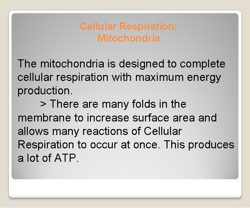 Cellular Respiration: Mitochondria The mitochondria is designed to complete cellular respiration with maximum energy