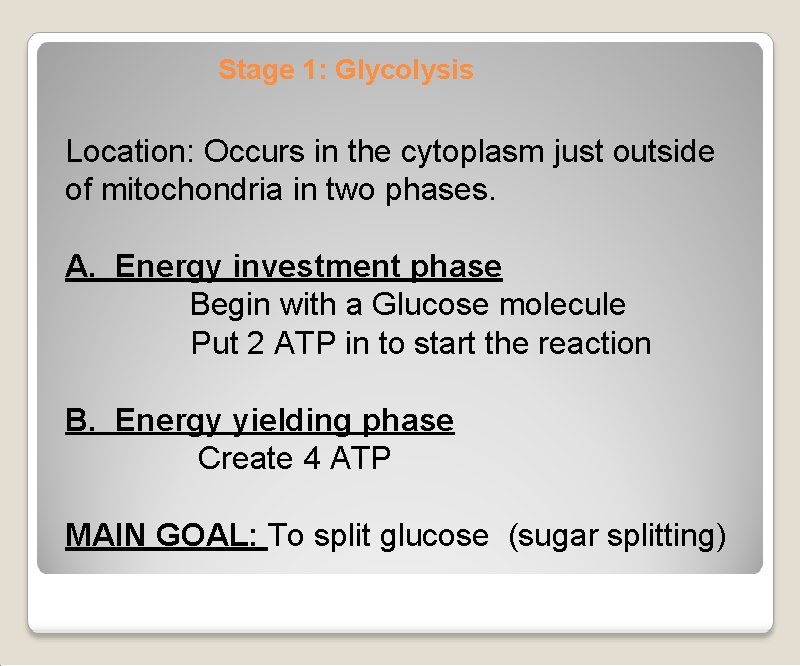 Stage 1: Glycolysis Location: Occurs in the cytoplasm just outside of mitochondria in two