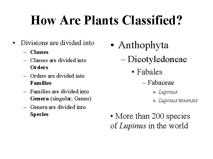 How Are Plants Classified? • Divisions are divided into – Classes are divided into