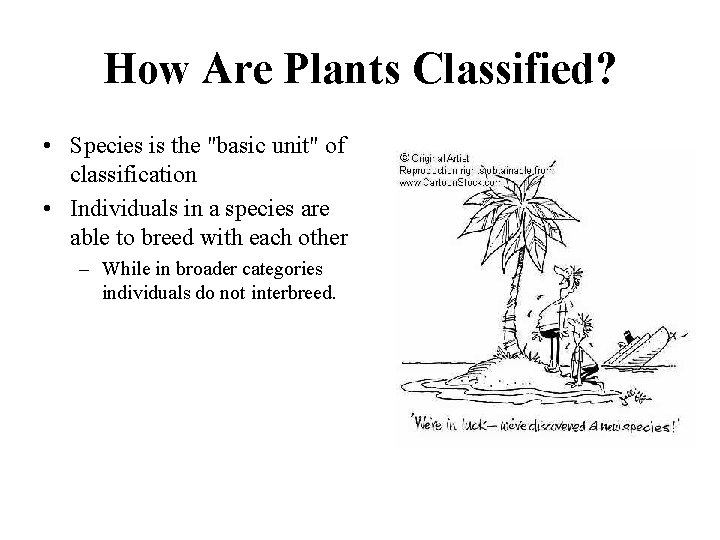 How Are Plants Classified? • Species is the "basic unit" of classification • Individuals