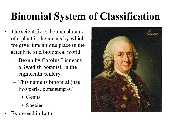 Binomial System of Classification • The scientific or botanical name of a plant is