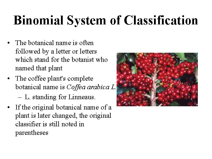 Binomial System of Classification • The botanical name is often followed by a letter