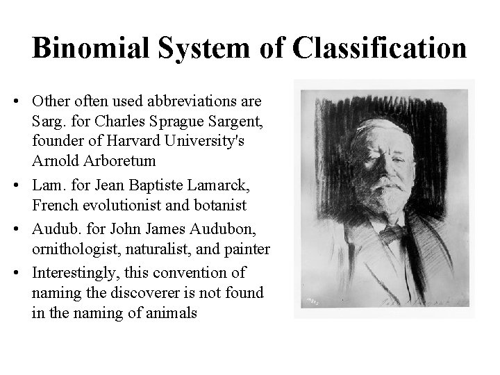 Binomial System of Classification • Other often used abbreviations are Sarg. for Charles Sprague