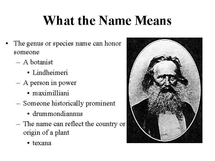 What the Name Means • The genus or species name can honor someone –