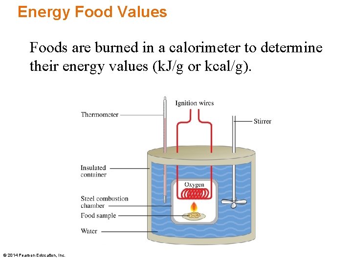 Energy Food Values Foods are burned in a calorimeter to determine their energy values