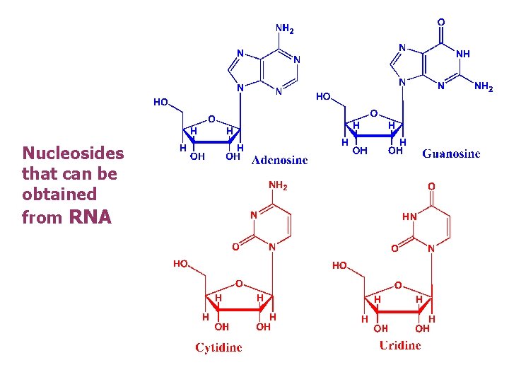 Nucleosides that can be obtained from RNA 