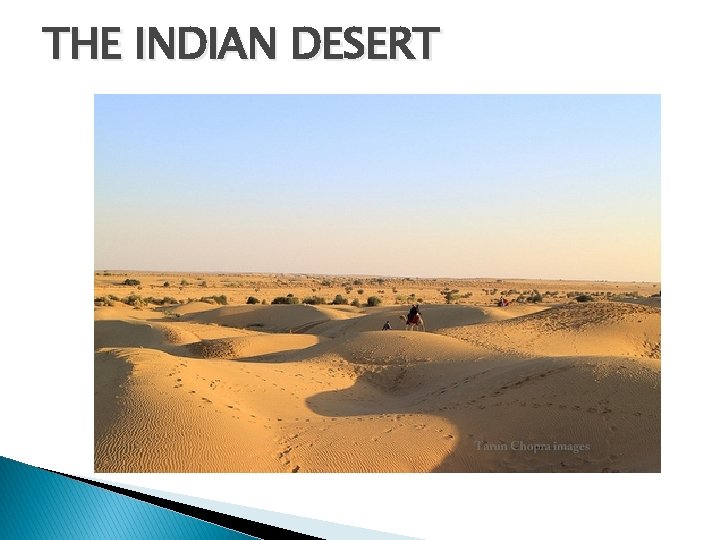 THE INDIAN DESERT 