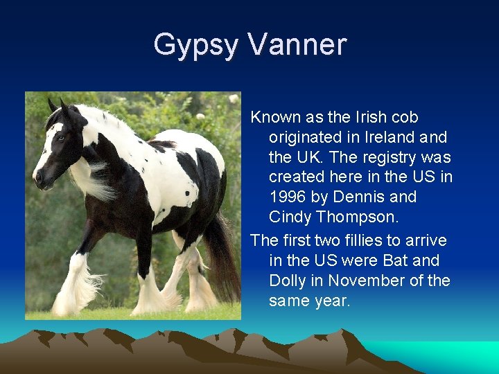 Gypsy Vanner Known as the Irish cob originated in Ireland the UK. The registry