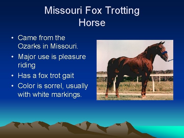 Missouri Fox Trotting Horse • Came from the Ozarks in Missouri. • Major use
