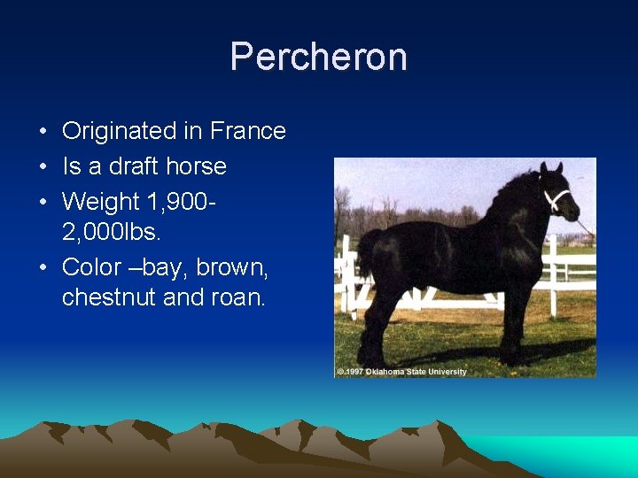 Percheron • Originated in France • Is a draft horse • Weight 1, 9002,