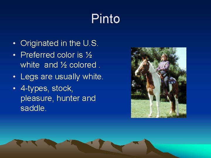 Pinto • Originated in the U. S. • Preferred color is ½ white and