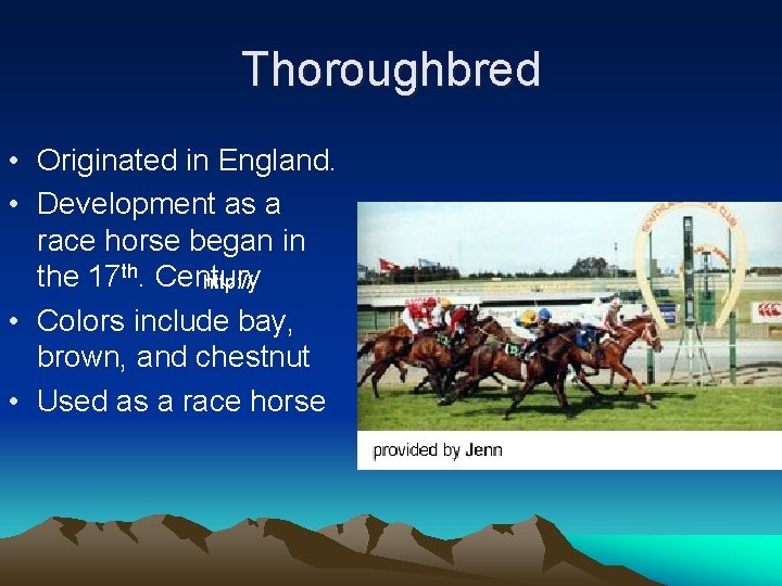 Thoroughbred • Originated in England. • Development as a race horse began in the