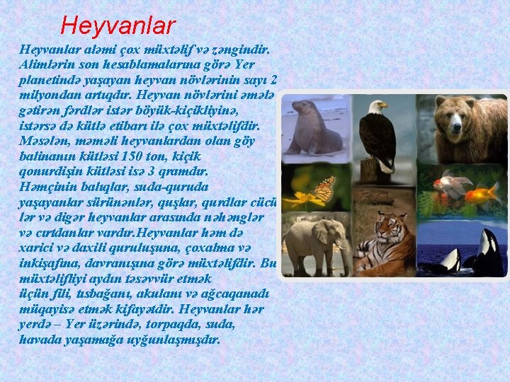 Heyvanlar aləmi çox müxtəlif və zəngindir. Alimlərin son hesablamalarına görə Yer planetində yaşayan heyvan