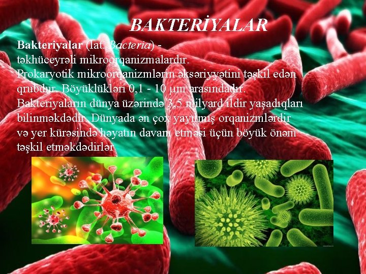 BAKTERİYALAR Bakteriyalar (lat. Bacteria) - təkhüceyrəli mikroorqanizmalardır. Prokaryotik mikroorqanizmlərin əksəriyyətini təşkil edən qrubdur. Böyüklükləri