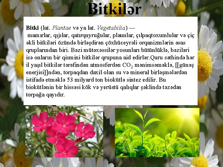  Bitkilər Bitki (lat. Plantae və ya lat. Vegetabilia) — mamırlar, qıjılar, qatırquyruğular, plaunlar,