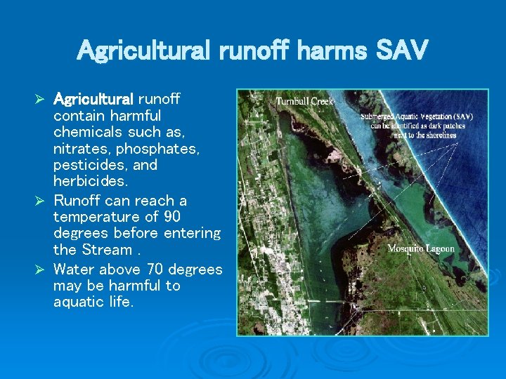 Agricultural runoff harms SAV Agricultural runoff contain harmful chemicals such as, nitrates, phosphates, pesticides,