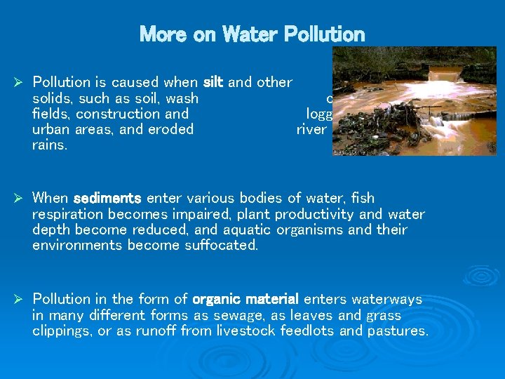 More on Water Pollution Ø Pollution is caused when silt and other suspended solids,