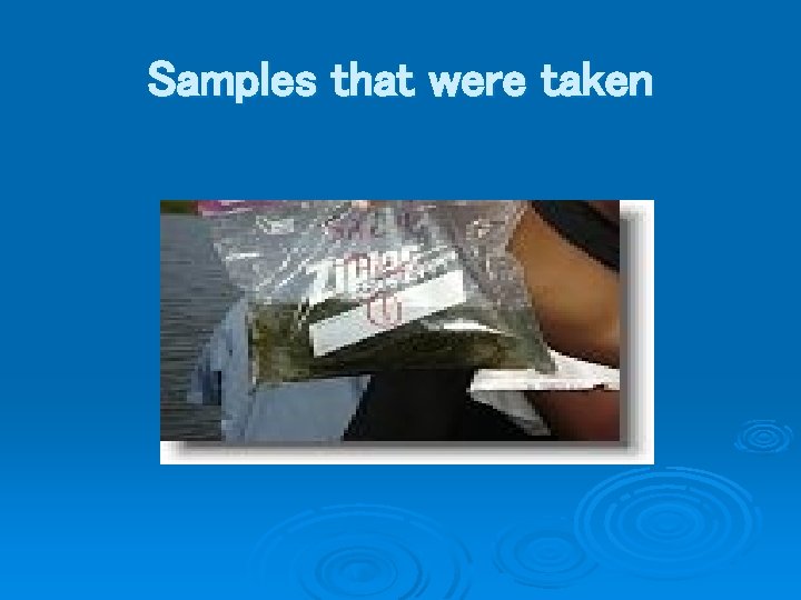 Samples that were taken 