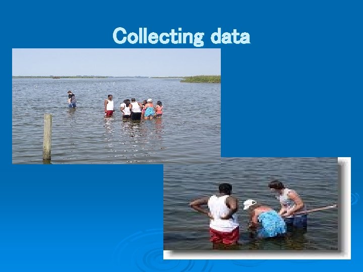 Collecting data 