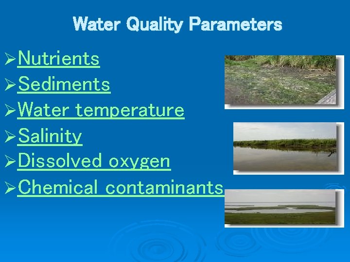 Water Quality Parameters ØNutrients ØSediments ØWater temperature ØSalinity ØDissolved oxygen ØChemical contaminants 