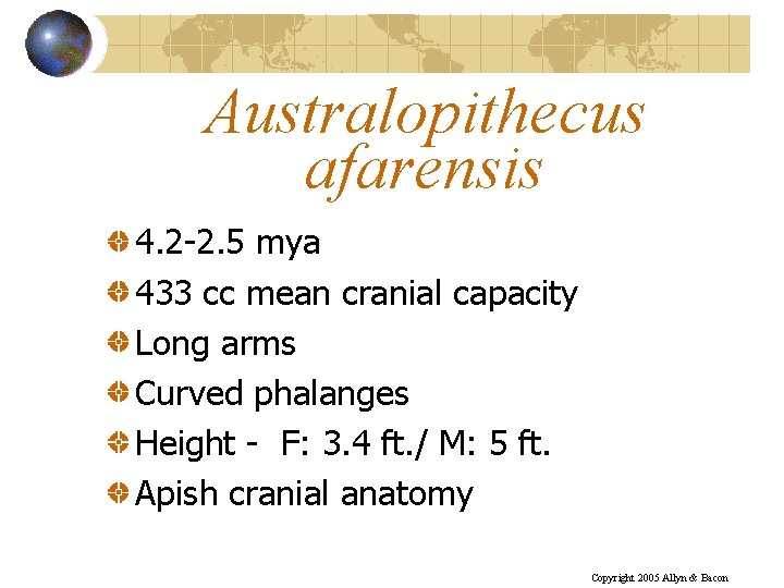 Australopithecus afarensis 4. 2 -2. 5 mya 433 cc mean cranial capacity Long arms