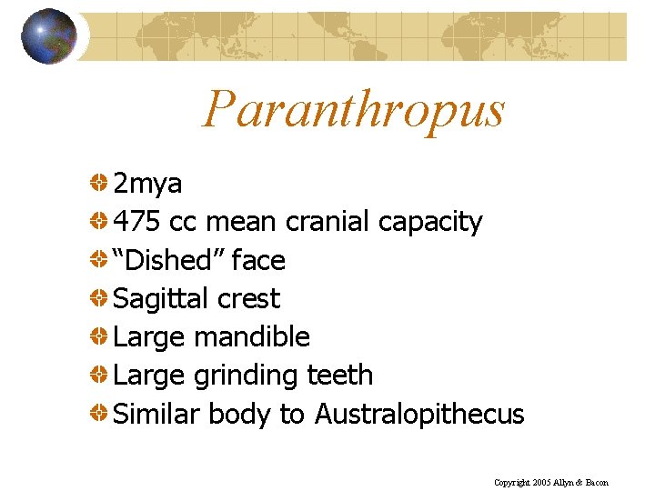 Paranthropus 2 mya 475 cc mean cranial capacity “Dished” face Sagittal crest Large mandible