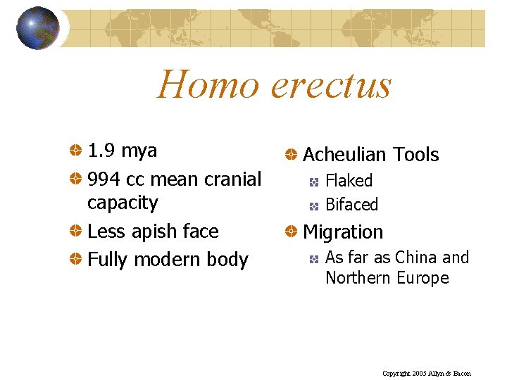 Homo erectus 1. 9 mya 994 cc mean cranial capacity Less apish face Fully