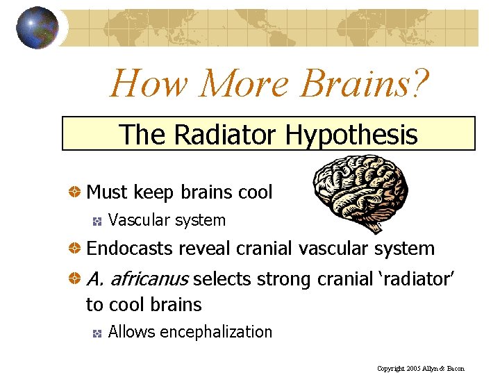 How More Brains? The Radiator Hypothesis Must keep brains cool Vascular system Endocasts reveal