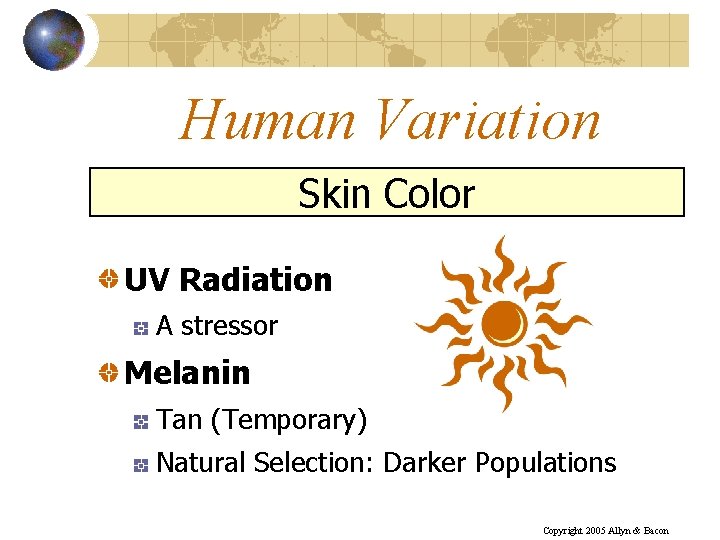 Human Variation Skin Color UV Radiation A stressor Melanin Tan (Temporary) Natural Selection: Darker