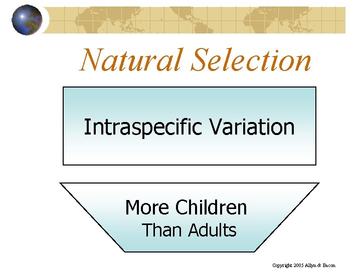 Natural Selection Intraspecific Variation More Children Than Adults Copyright 2005 Allyn & Bacon 