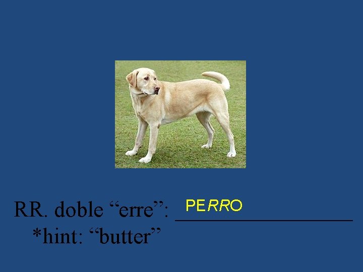 PERRO RR. doble “erre”: ________ *hint: “butter” 