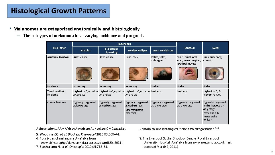 Histological Growth Patterns • Melanomas are categorized anatomically and histologically – The subtypes of