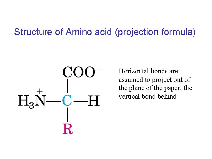 Structure of Amino acid (projection formula) Horizontal bonds are assumed to project out of