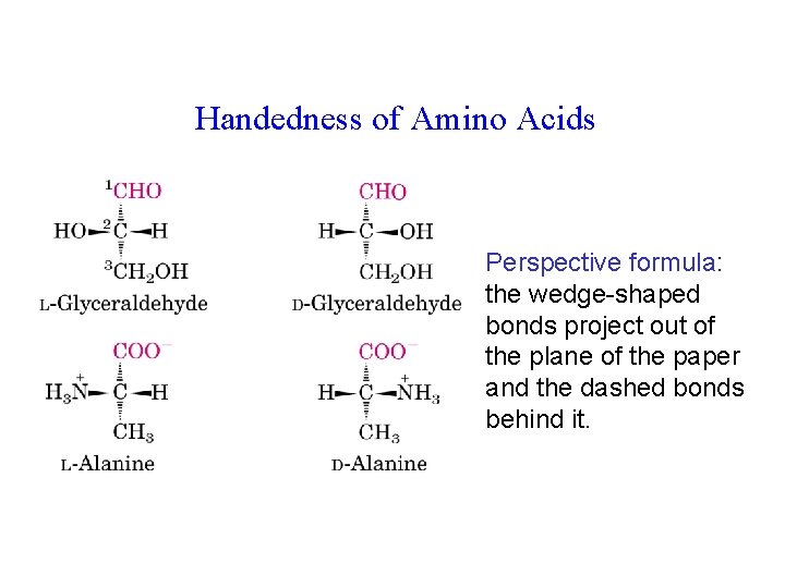 Handedness of Amino Acids Perspective formula: the wedge-shaped bonds project out of the plane