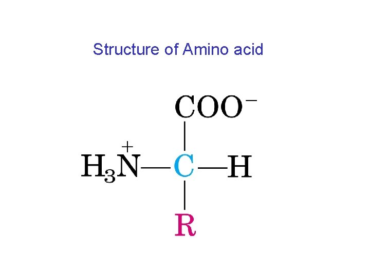 Structure of Amino acid 
