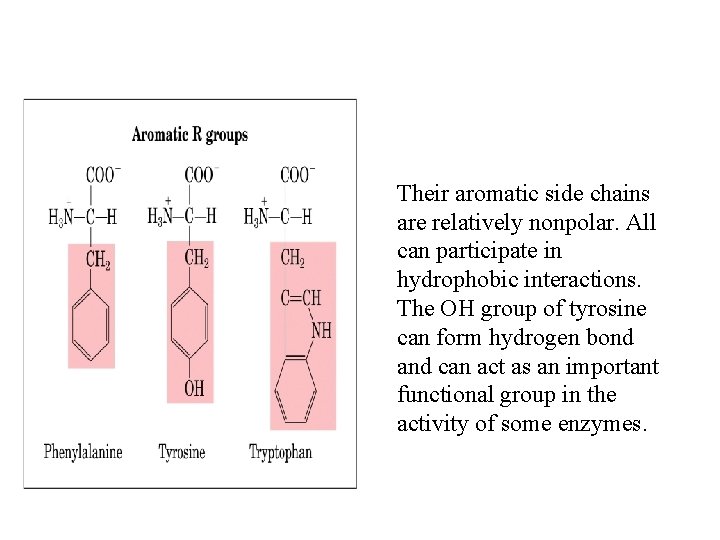 Their aromatic side chains are relatively nonpolar. All can participate in hydrophobic interactions. The
