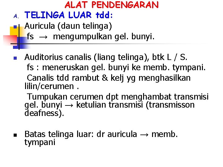 A. n n n ALAT PENDENGARAN TELINGA LUAR tdd: Auricula (daun telinga) fs →