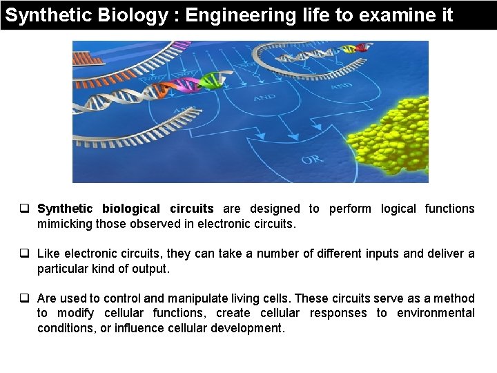 Synthetic Biology : Engineering life to examine it q Synthetic biological circuits are designed