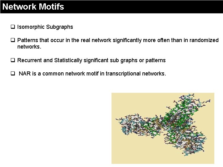 Network Motifs q Isomorphic Subgraphs q Patterns that occur in the real network significantly