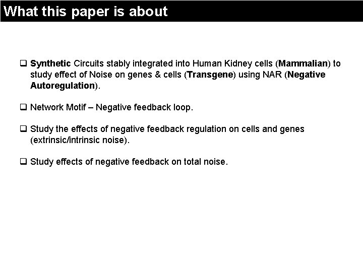 What this paper is about q Synthetic Circuits stably integrated into Human Kidney cells
