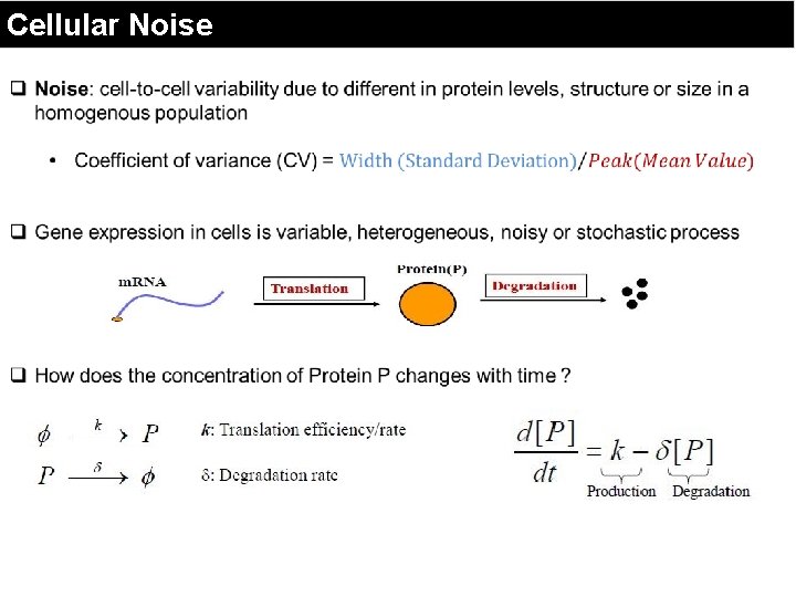 Cellular Noise 