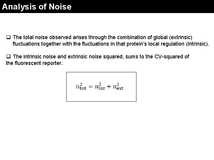 Analysis of Noise q The total noise observed arises through the combination of global