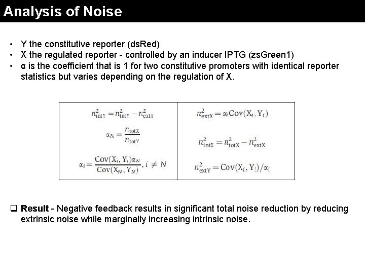 Analysis of Noise • Y the constitutive reporter (ds. Red) • X the regulated