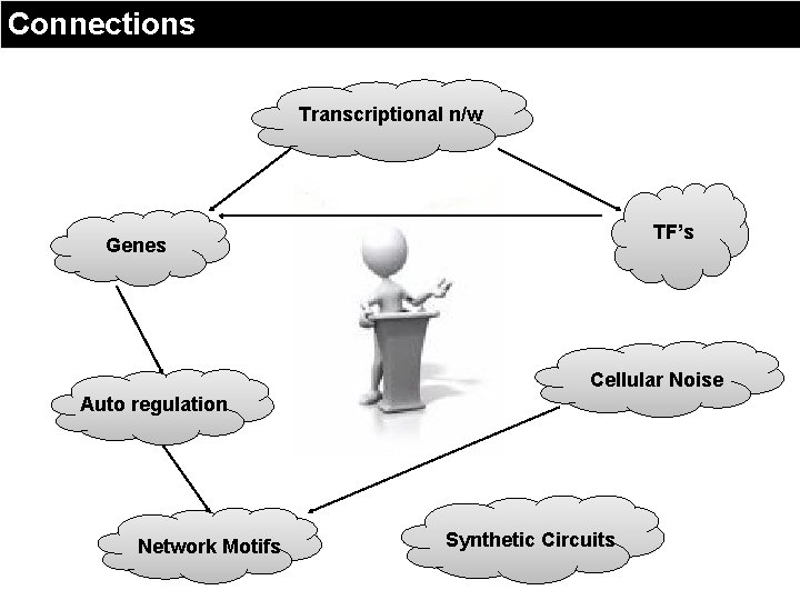 Connections Transcriptional n/w TF’s Genes Cellular Noise Auto regulation Network Motifs Synthetic Circuits 