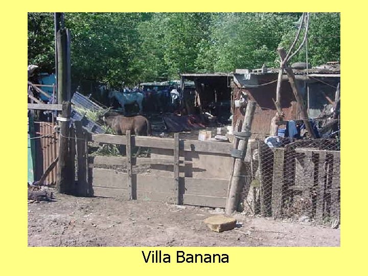 Villa Banana 