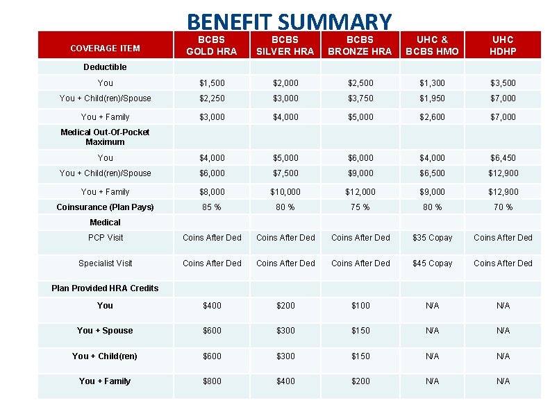 BENEFIT SUMMARY BCBS GOLD HRA BCBS SILVER HRA BCBS BRONZE HRA UHC & BCBS