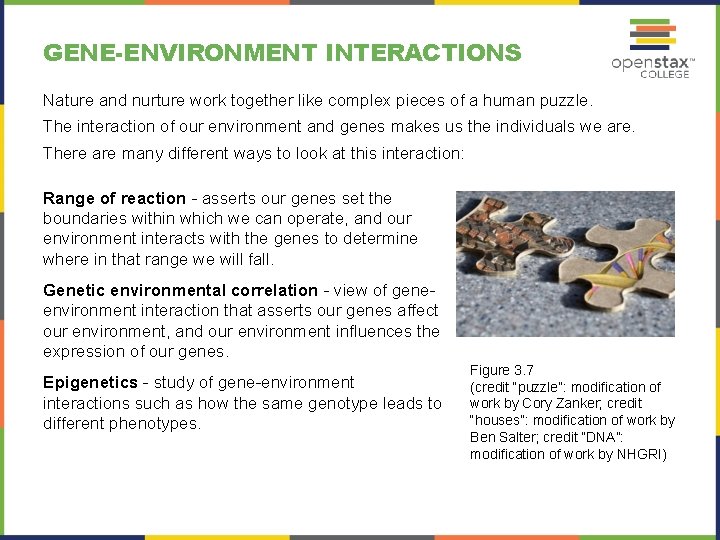 GENE-ENVIRONMENT INTERACTIONS Nature and nurture work together like complex pieces of a human puzzle.